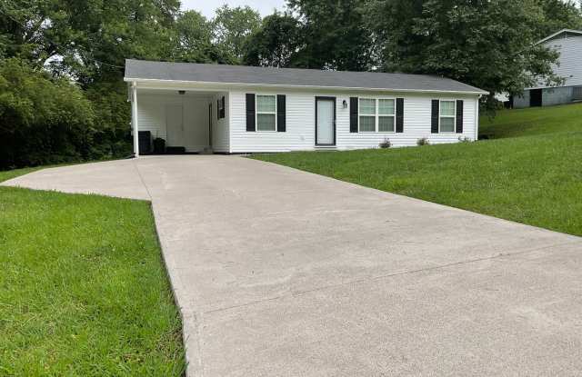 Short term - Clean and tidy 3 bedroom/1 bath near Cherokee Park photos photos