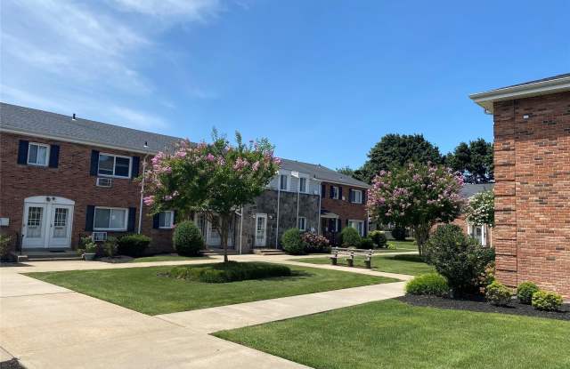 256 Dawson Lane - 256 Dawson Lane, Jericho, NY 11753
