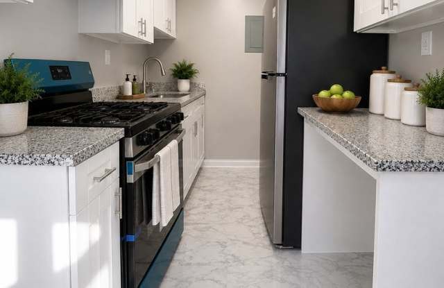 Charming 2BR Triplex in Washington, DC Gallery 4