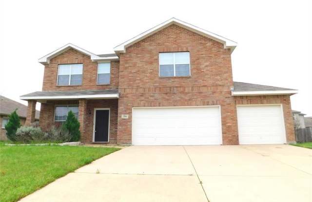 334 Chisholm Trail - 334 Chisholm Trail, Krum, TX 76249