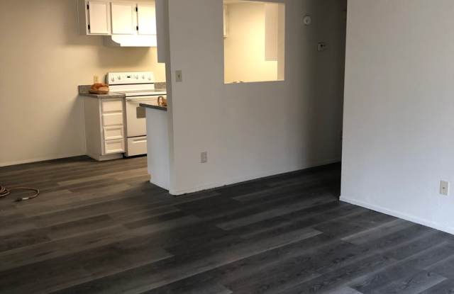 Spacious duplex ready for move in - 3007 Kounias Drive, Modesto, CA 95354