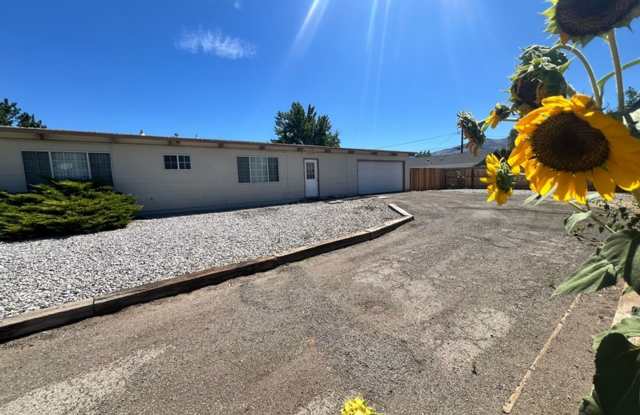 <b> Four Bedroom Stead Home<br><br> Gallery 3