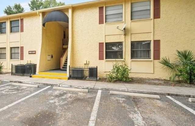 7627 DOLONITA DRIVE - 7627 Dolonita Drive, Town 'n' Country, FL 33615