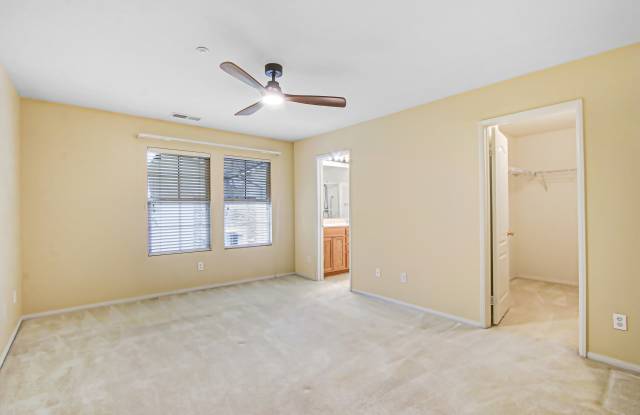 7331 Shelby Pl Gallery 4