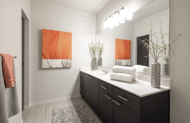 Liv Ahwatukee Gallery 4