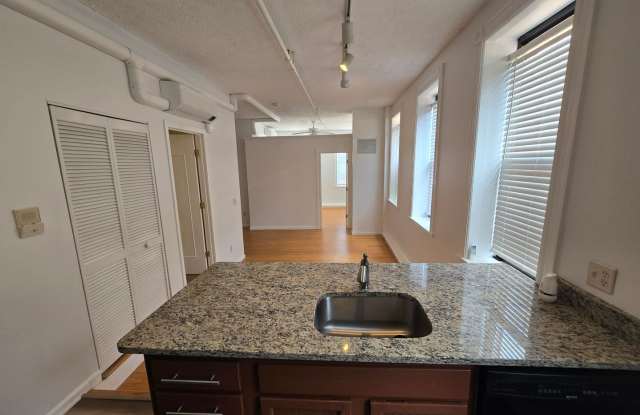 Beautiful and Spacious 1 Bedroom Apartment DOWNTOWN! MUST SEE! Gallery 3