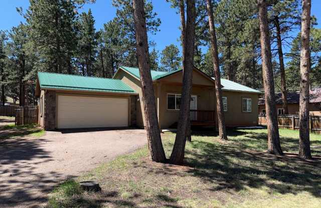 Adorable 3 Bedroom Home in Woodland Park photos photos