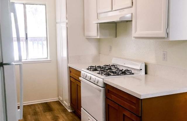 25899 Marguerite Gallery 2