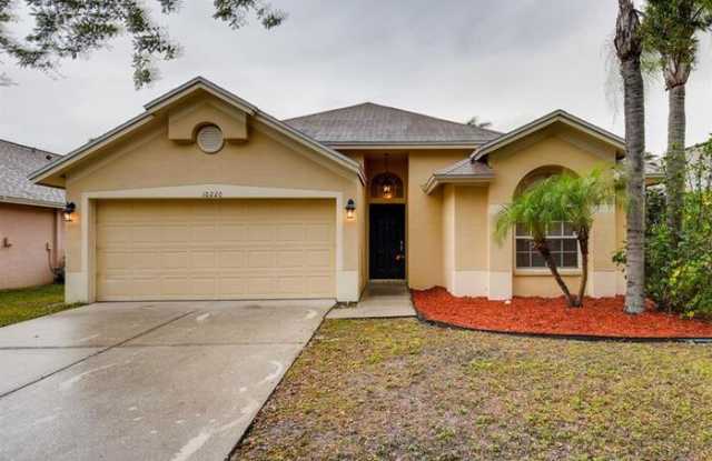 10220 Oasis Palm Drive - 10220 Oasis Palm Drive, Town 'n' Country, FL 33615