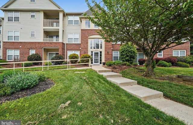 300-G TALL PINES Court photos photos