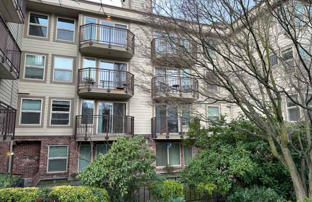Quiet Updated South Queen 1bd 1bath Condo for Rent! photos photos