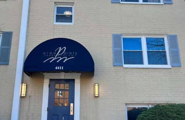 4411 Falls Bridge Drive - 1 photos photos