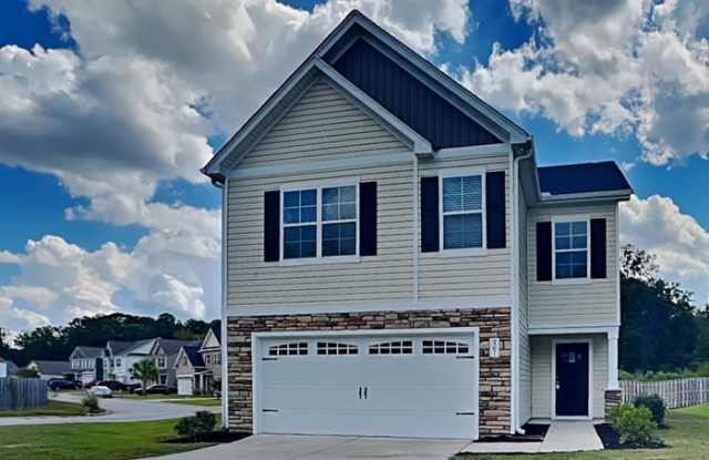 461 Blue Garden Way - 461 Blue Garden Way, Richland County, SC 29223 461 Blue Garden Way - 461 Blue Garden Way, Richland County, SC 29223