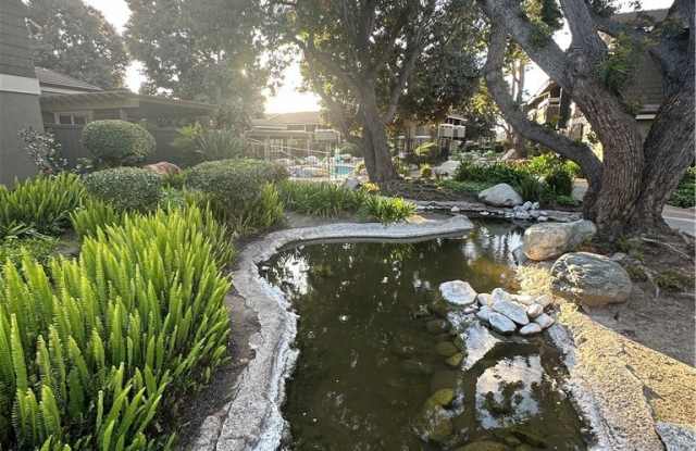 225 Springview Gallery 2