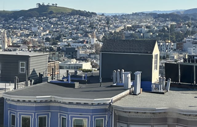 507 Steiner Street photos photos