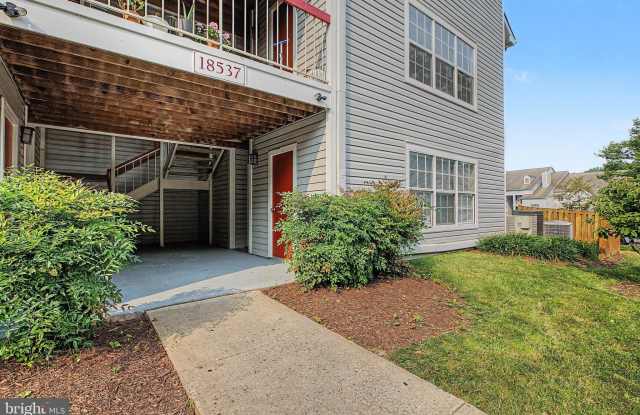 18537 BOYSENBERRY Drive Gallery 4