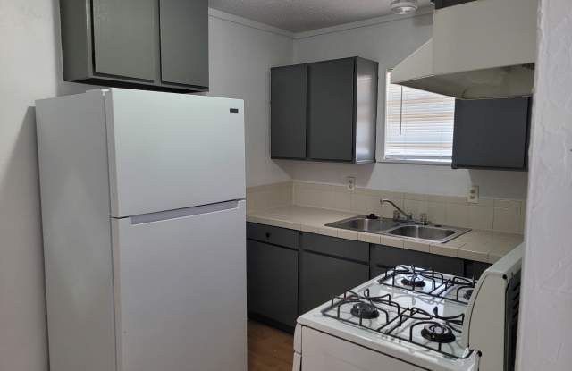 1904 Ash Street - 1904 Ash Street, Commerce, TX 75428