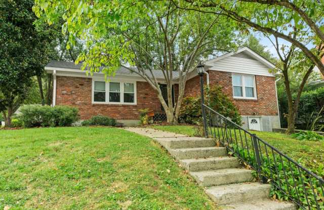 19 Ashmore Drive photos photos