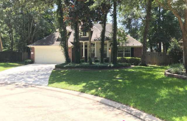 7 Wild Orchid Court - 7 Wild Orchid Court, The Woodlands, TX 77385