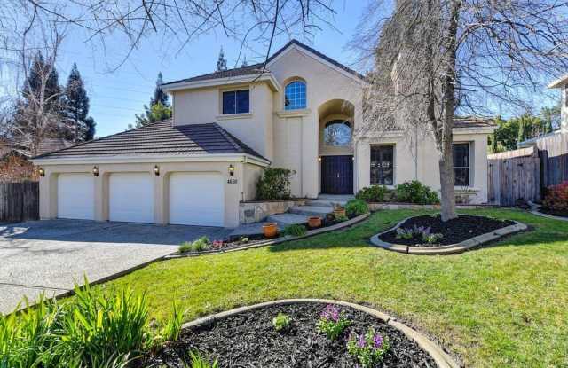 Elegant Granite Bay Home Located in Treelake Village and the Eureka Union School District photos photos Elegant Granite Bay Home Located in Treelake Village and the Eureka Union School District photos photos