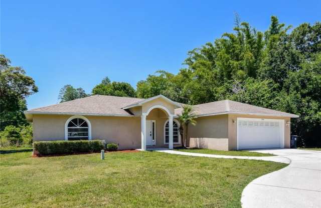 17910 SIMMONS ROAD - 17910 Simmons Road, Lutz, FL 33548
