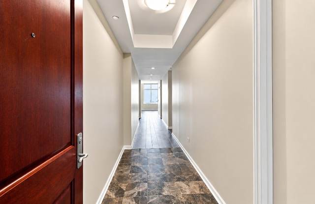 530 N Lake Shore Drive Gallery 4