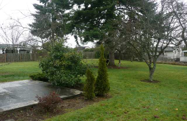 Nice 3 Bedroom Rambler in Tacoma! Gallery 3