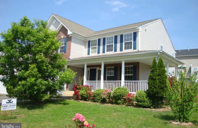 8 FOGGY FIELD Lane photos photos