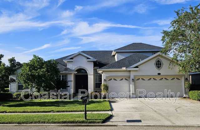 16023 Ivy Lake Dr - 16023 Ivy Lake Drive, Odessa, FL 33556