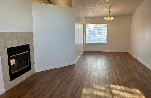 2025 BIG BEND Way Gallery 3