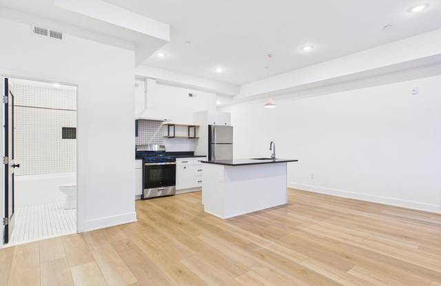 Modern large 1 bed 1 bath in Port Richmond photos photos