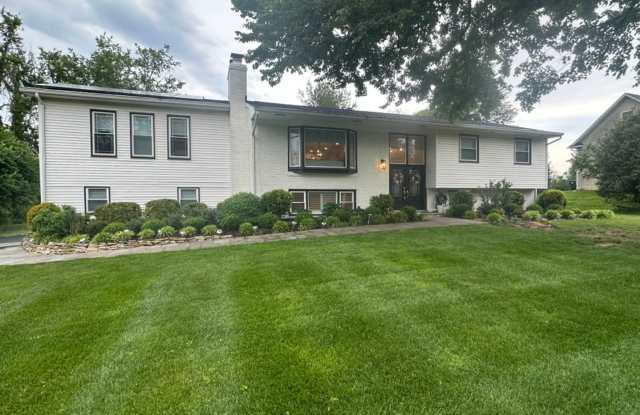 Gorgeous, fully remodeled 5 bed 3 bath centrally located in Great Falls photos photos