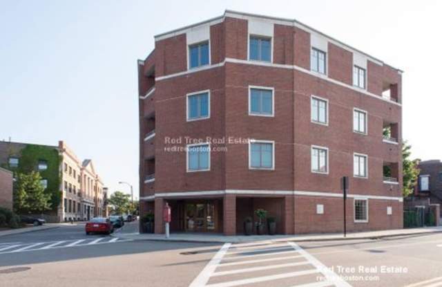 11 Longwood Avenue Gallery 3