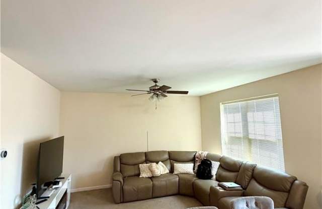 244 Milkweed Drive Gallery 4