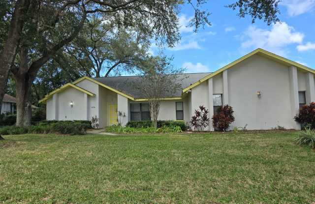 Single Family Home in Suburban Temple Terrace photos photos