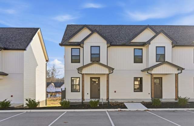 Delaney Way - 116 - 116 Delaney Way, Loudon County, TN 37772