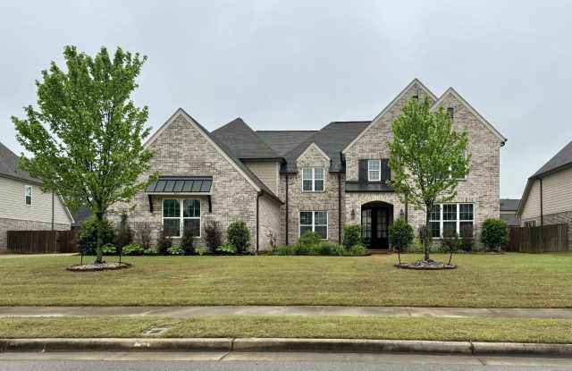 493 FALLEN TIMBERS Ln Gallery 1