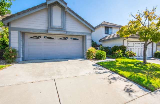 Beautiful Single Level Home with Great Natural Light in Vista!! photos photos