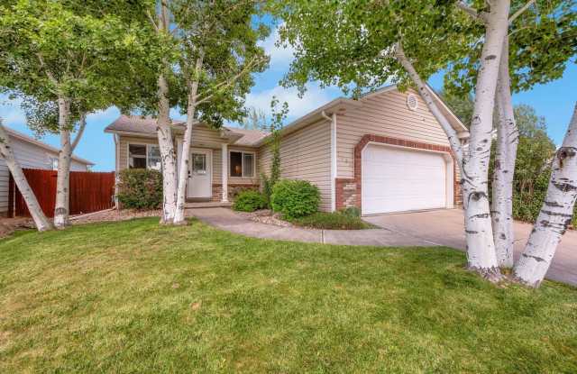 Charming 3BR House in Fort Collins photos photos