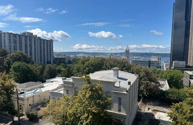 Spacious 2-Bedroom Capitol Hill Condo with Spectacular Views! photos photos
