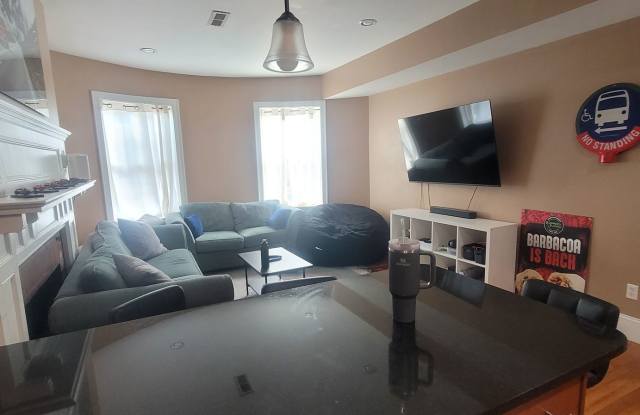 Massive Luxury Apt in Packards Corner Near BU!  Central AC & Heat, XL Rooms! Gallery 4