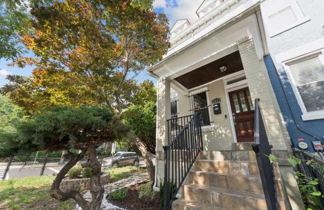 3 Level Semi-Detached Row Home in Columbia Heights photos photos