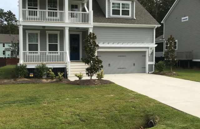New Beautiful Home in Hunt Club - 1418 Brockenfelt Drive, Charleston County, SC 29414