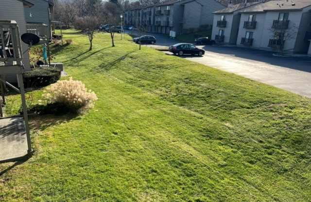 1308 Spruce Hills Dr Gallery 2