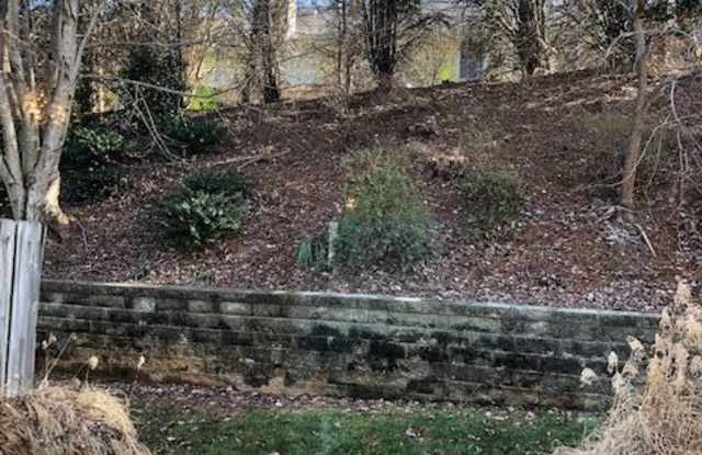 1116 Birch Tree Way Gallery 4