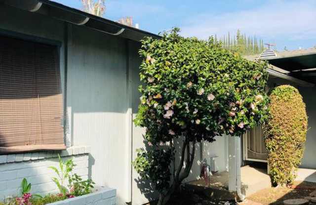 731 South SHADYGLEN Drive Gallery 2