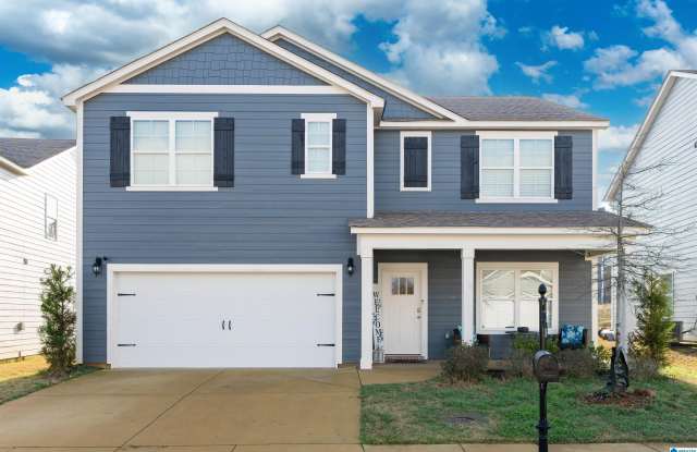 23098 DOWNING PARK CIRCLE photos photos