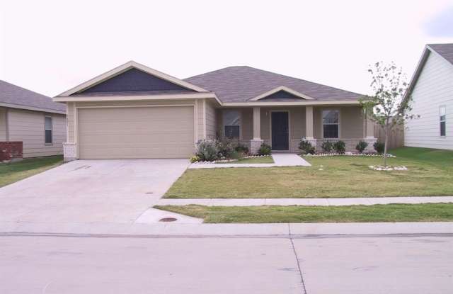 9801 George Washington Drive - 9801 George Washington Drive, McKinney, TX 75072