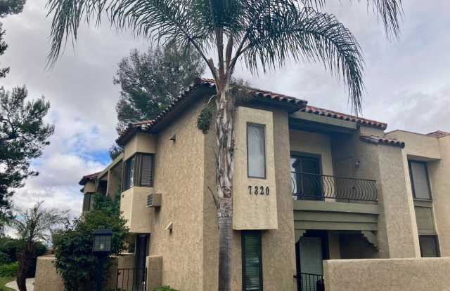 Stunning 2 bed 2 bath Condo In San Carlos photos photos