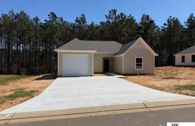 125 LOBLOLLY DRIVE photos photos